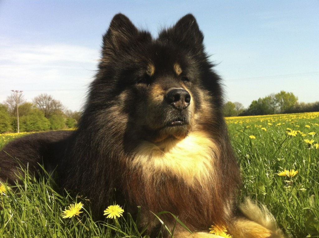 2012-05-01 um 10-28-28