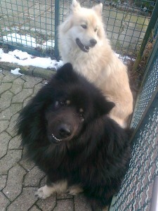 0F91A811-7F8E-460A-A1AD-70C2D4D7C88E